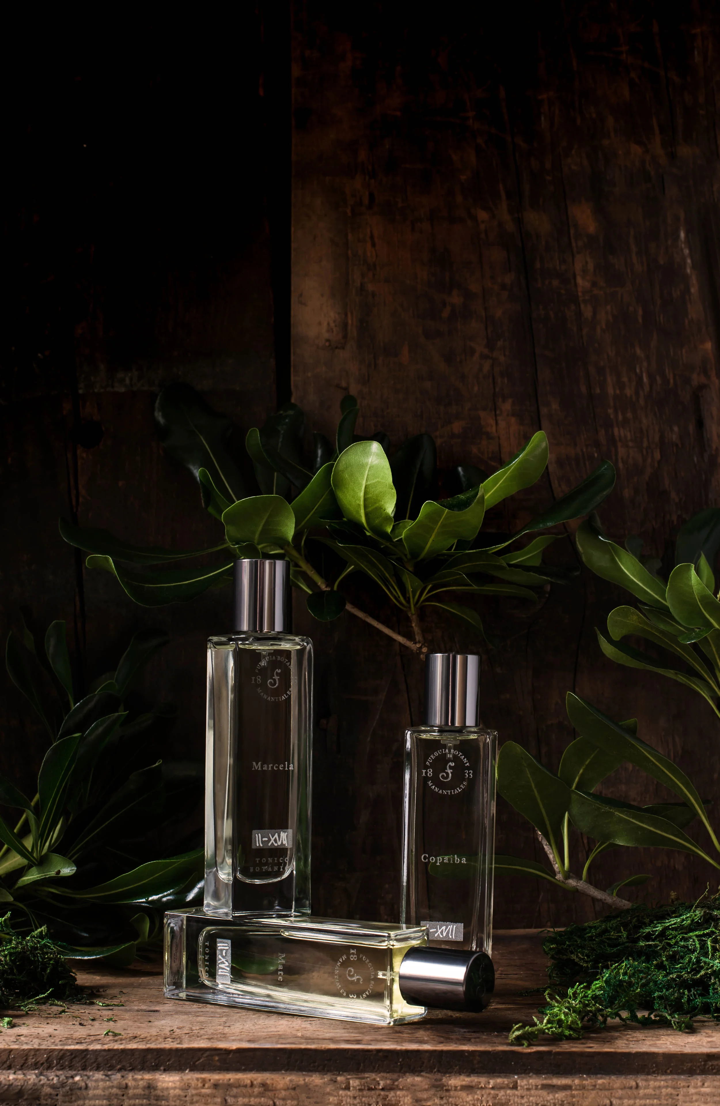 Brand to Know | Fueguia 1833 — Rose & Ivy